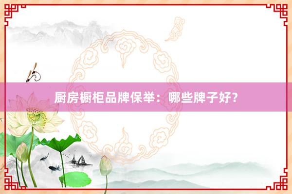 厨房橱柜品牌保举：哪些牌子好？