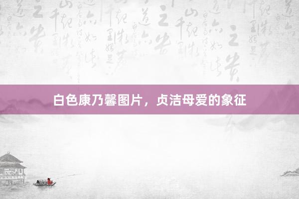 白色康乃馨图片，贞洁母爱的象征