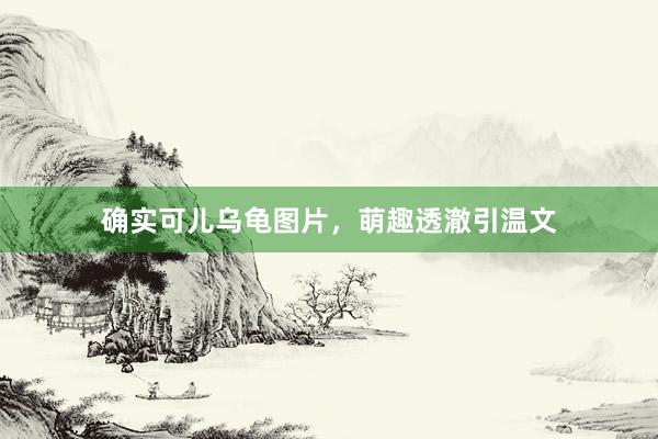 确实可儿乌龟图片，萌趣透澈引温文